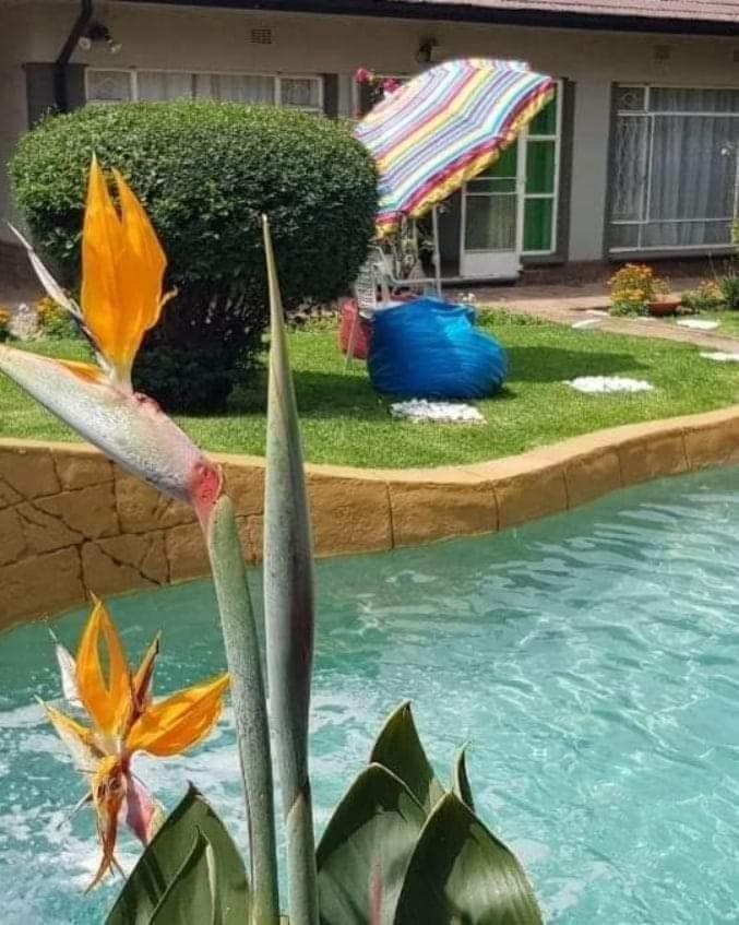 Alberton Guest House Ngoại thất bức ảnh